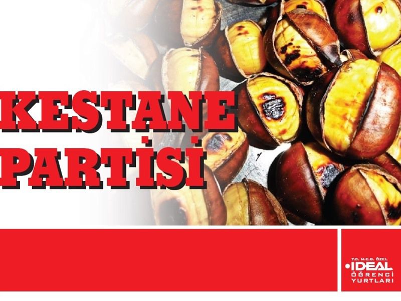 1. Dönem Kestane Partisi