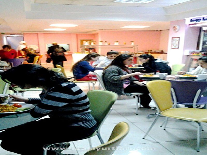 Yurtlarımızda Kısır Partisi