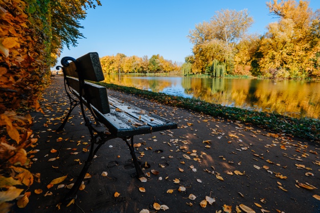 Bazı keşifler bedenin ötesindedir;zihindedir!